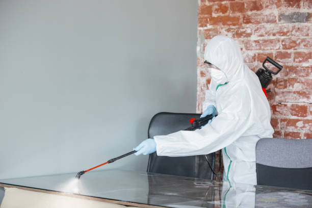 Best Industrial Mold Remediation in Crewe, VA